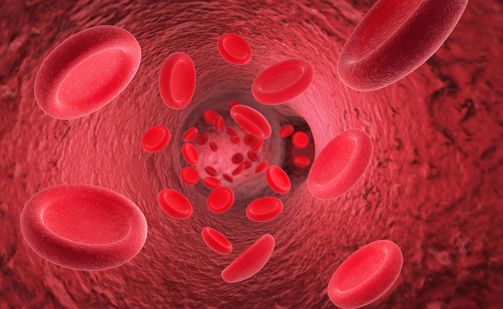 赤血球の画像